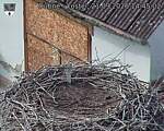 Capi_Dubne_20260921_144502.jpg