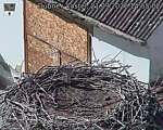 Capi_Dubne_20260921_145502.jpg