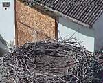 Capi_Dubne_20260921_150004.jpg