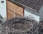 Capi_Dubne_20260921_151504.jpg