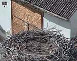 Capi_Dubne_20260921_152003.jpg