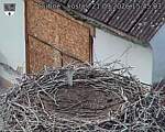 Capi_Dubne_20260921_154503.jpg