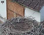 Capi_Dubne_20260921_155004.jpg