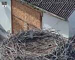 Capi_Dubne_20260921_161003.jpg