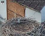 Capi_Dubne_20260921_162004.jpg