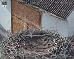 Capi_Dubne_20260921_163002.jpg