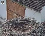 Capi_Dubne_20260921_165504.jpg