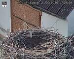 Capi_Dubne_20260921_172504.jpg