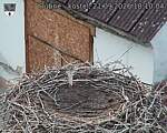 Capi_Dubne_20260921_181004.jpg
