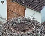 Capi_Dubne_20260921_184004.jpg