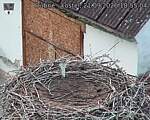 Capi_Dubne_20260921_185504.jpg