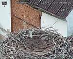 Capi_Dubne_20260921_190002.jpg