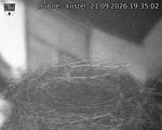 Capi_Dubne_20260921_193502.jpg