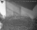 Capi_Dubne_20260921_194003.jpg
