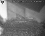 Capi_Dubne_20260921_194502.jpg