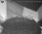 Capi_Dubne_20260921_202002.jpg