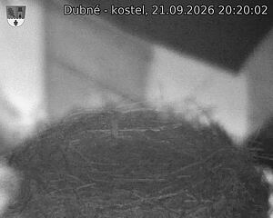 Capi_Dubne_20260921_202002.jpg (1350&nbsp;x&nbsp;1080)