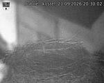 Capi_Dubne_20260921_203002.jpg