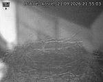 Capi_Dubne_20260921_215503.jpg
