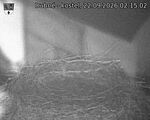 Capi_Dubne_20260922_021502.jpg