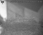 Capi_Dubne_20260922_033002.jpg
