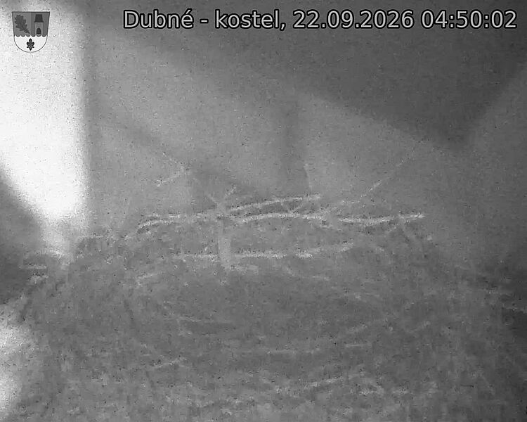 preload