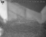 Capi_Dubne_20260922_052502.jpg