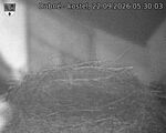 Capi_Dubne_20260922_053003.jpg