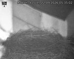 Capi_Dubne_20260922_053502.jpg