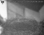 Capi_Dubne_20260922_062003.jpg
