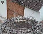 Capi_Dubne_20260922_070003.jpg