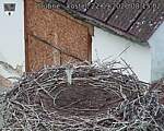 Capi_Dubne_20260922_081502.jpg