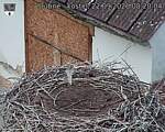 Capi_Dubne_20260922_082004.jpg