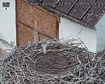 Capi_Dubne_20260922_090003.jpg
