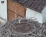 Capi_Dubne_20260922_090503.jpg