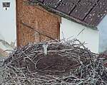 Capi_Dubne_20260922_092504.jpg
