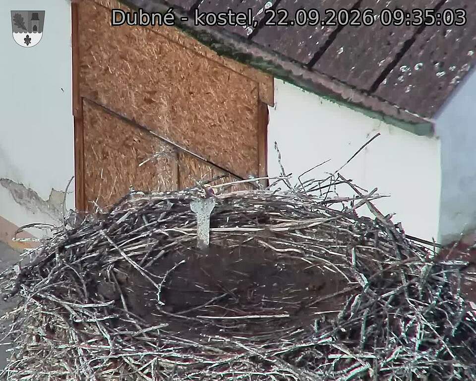Capi_Dubne_20260922_093503.jpg (1350&nbsp;x&nbsp;1080)