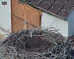 Capi_Dubne_20260922_120003.jpg