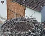 Capi_Dubne_20260922_125004.jpg