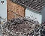 Capi_Dubne_20260922_134503.jpg