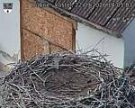 Capi_Dubne_20260922_140503.jpg