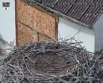 Capi_Dubne_20260922_143003.jpg
