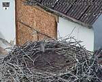 Capi_Dubne_20260922_145002.jpg