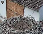 Capi_Dubne_20260922_151004.jpg