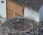Capi_Dubne_20260922_152502.jpg