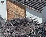Capi_Dubne_20260922_153504.jpg