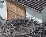 Capi_Dubne_20260922_155504.jpg