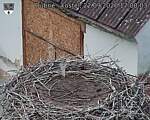 Capi_Dubne_20260922_170003.jpg