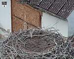 Capi_Dubne_20260922_171503.jpg