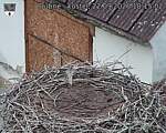 Capi_Dubne_20260922_181502.jpg